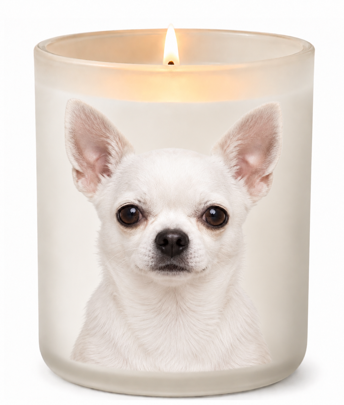 Chihuahua – White on a lit white 10oz glass candle
