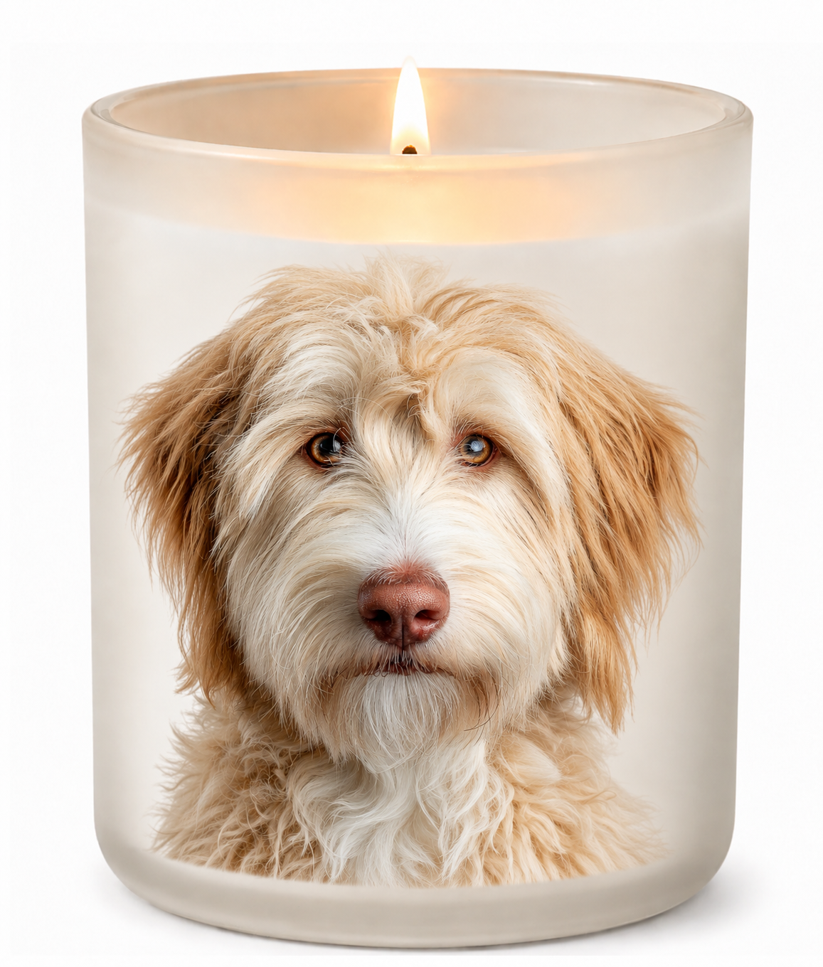 Cobberdog – Cream on a lit white 10oz glass candle