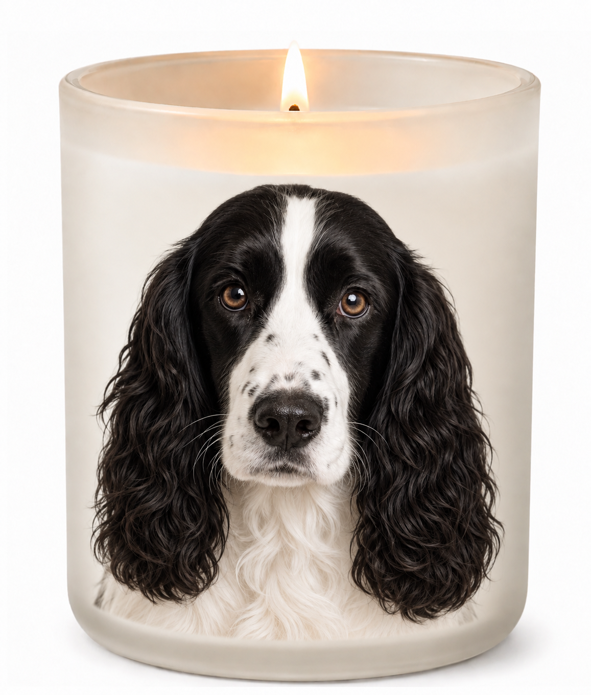 English Springer Spaniel – Black & White on a lit white 10oz glass candle