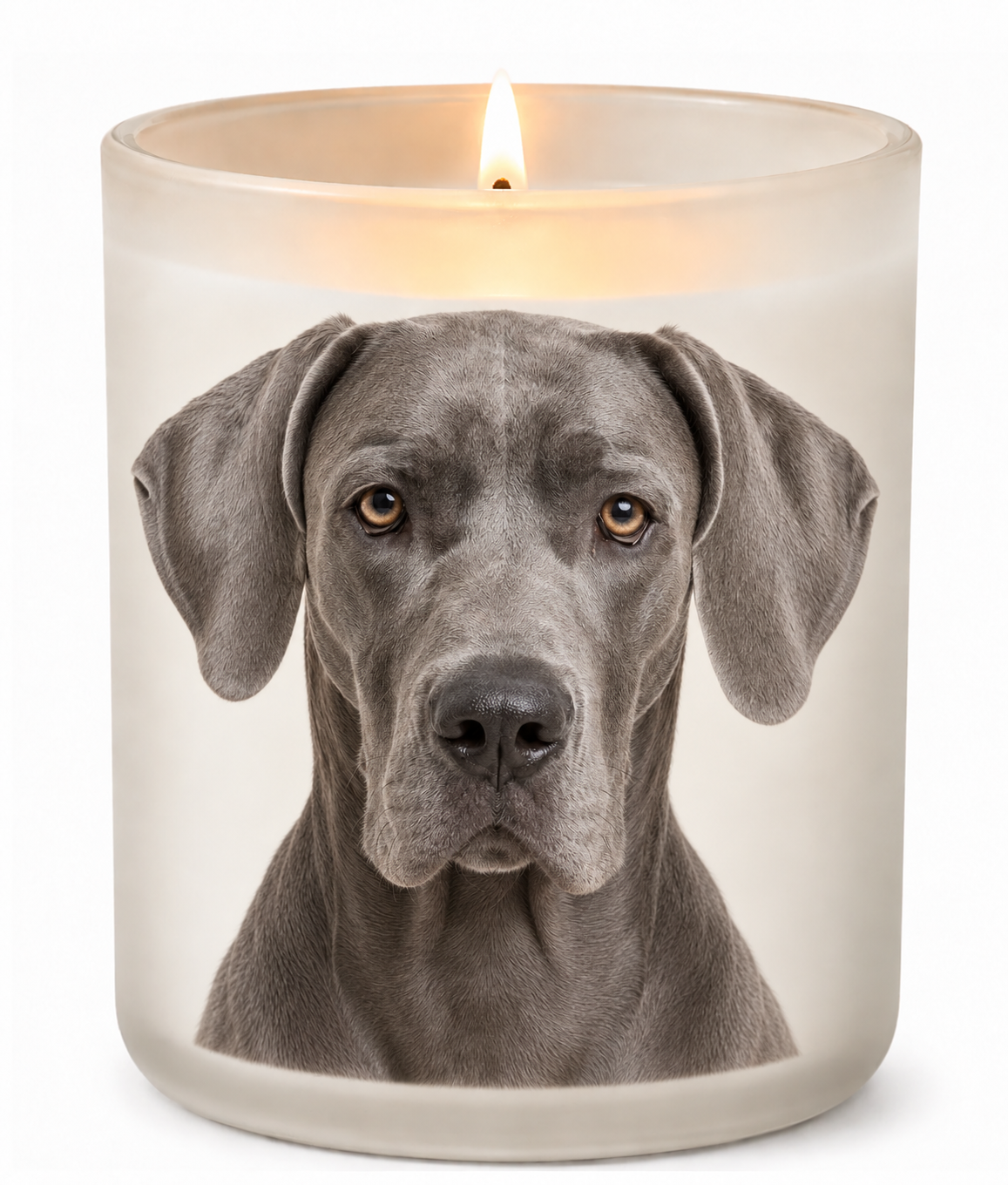 Great Dane – Blue on a lit white 10oz glass candle