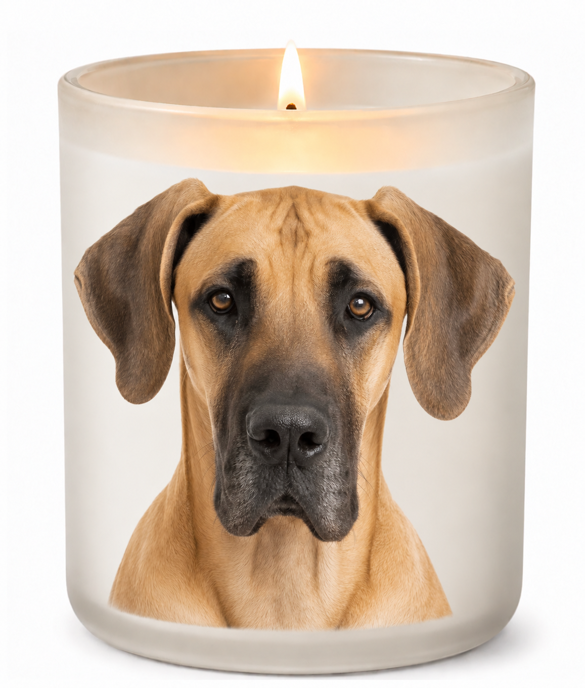 Great Dane – Fawn on a lit white 10oz glass candle