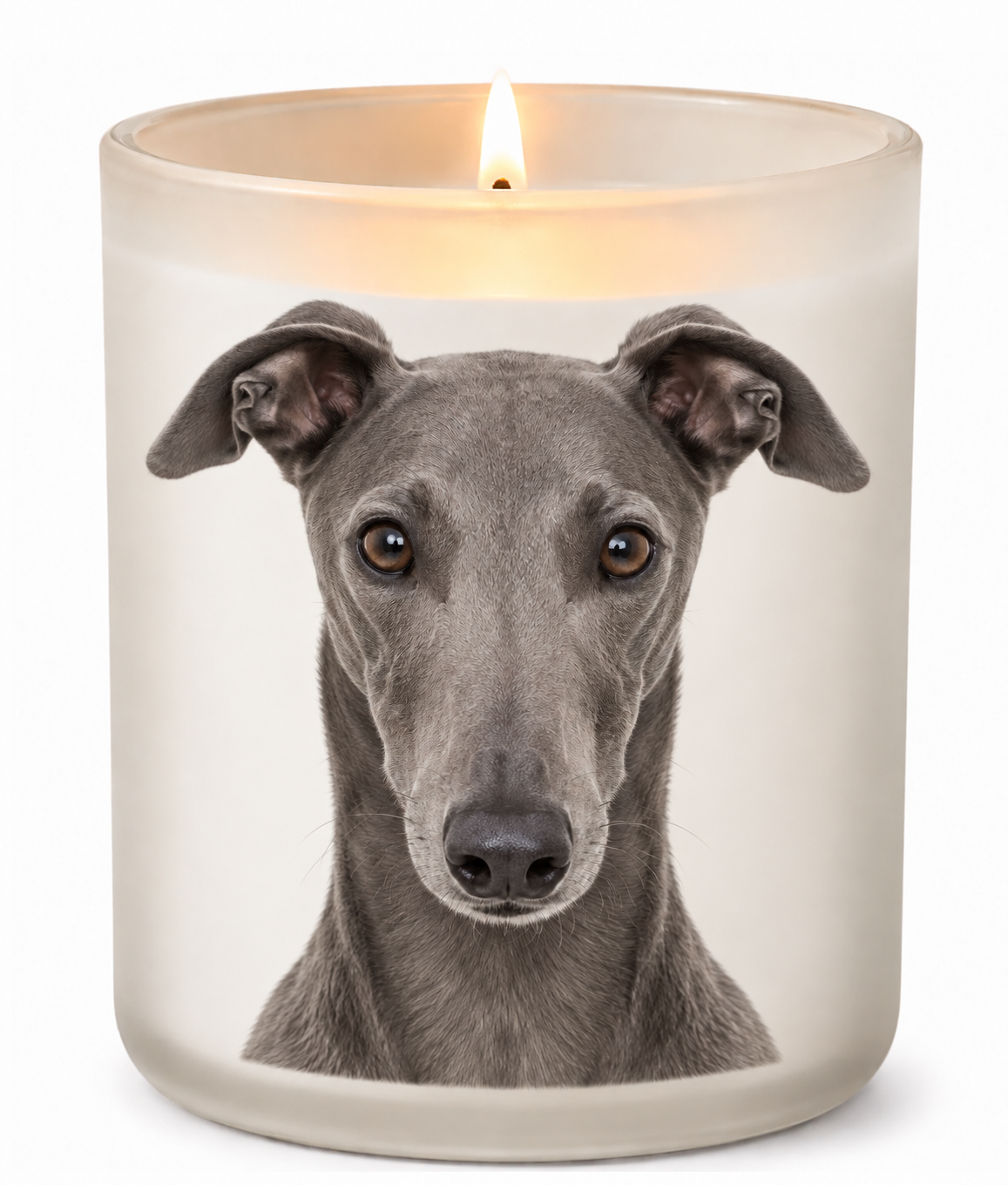 Greyhound – Blue on a lit white 10oz glass candle