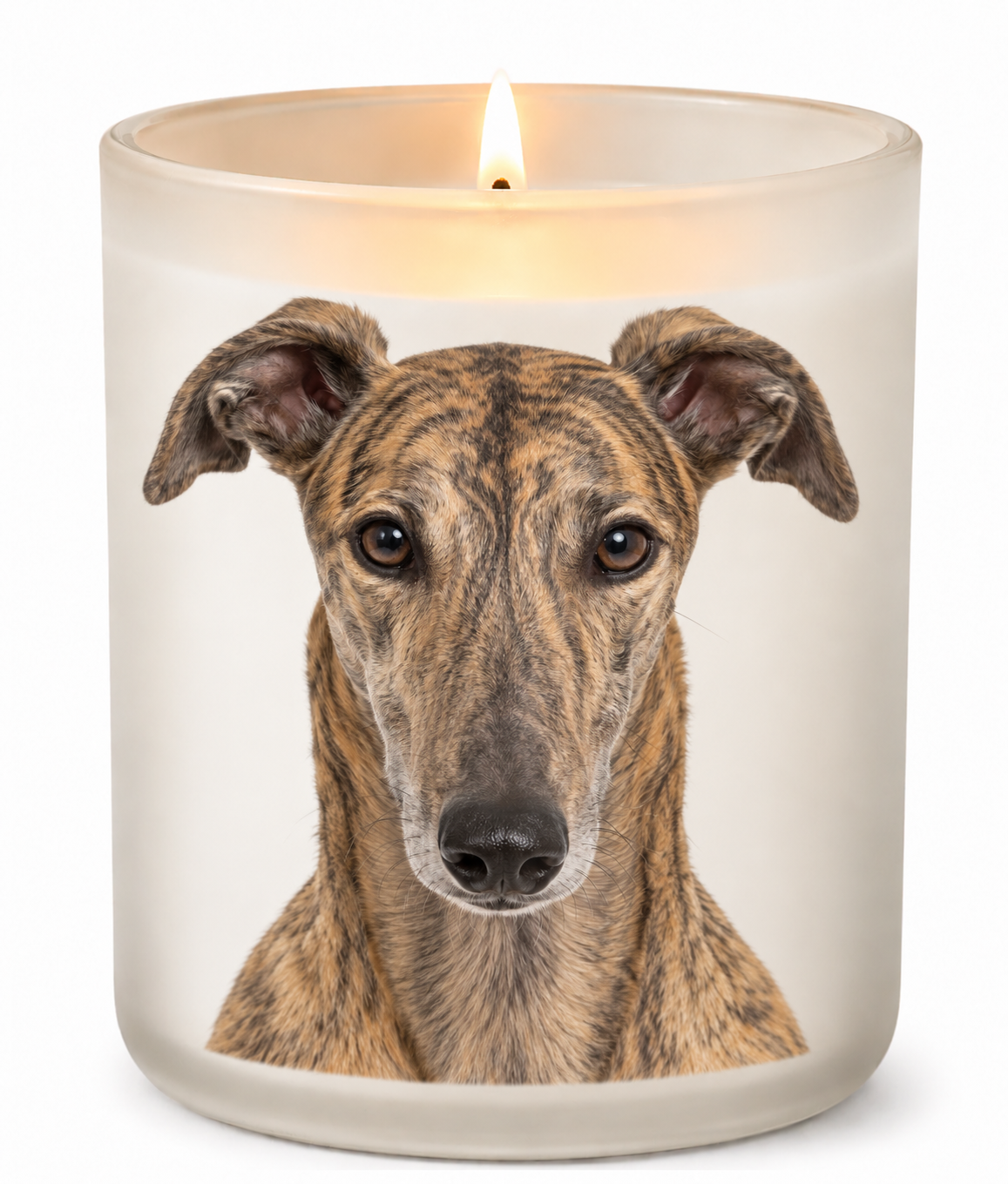 Greyhound – Brindle on a lit white 10oz glass candle