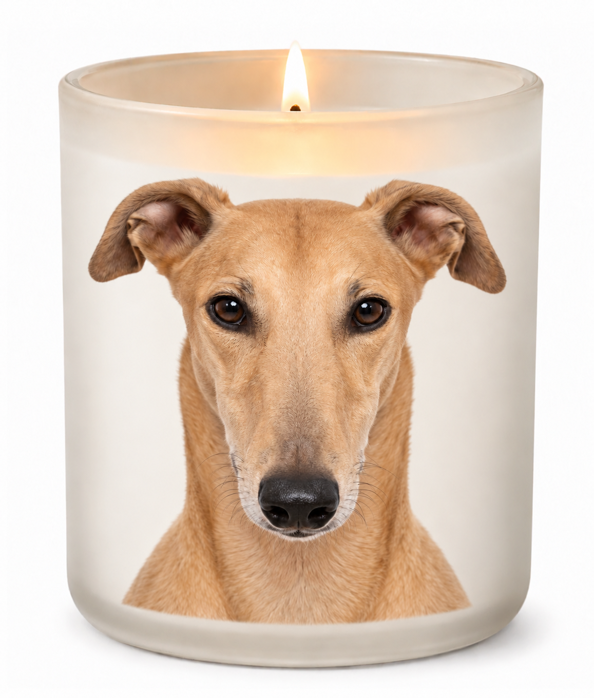 Greyhound – Fawn on a lit white 10oz glass candle