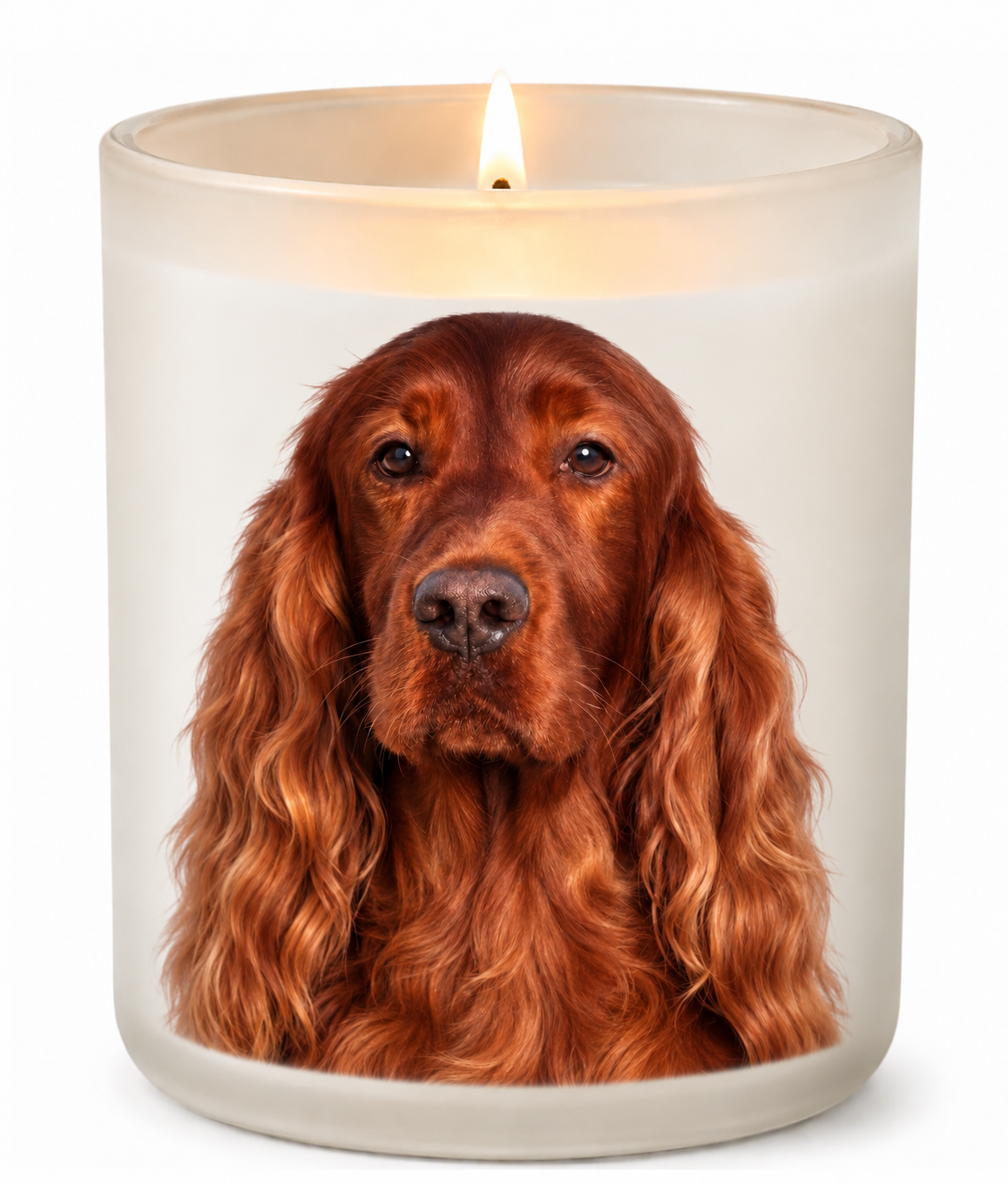 Irish Setter on a lit white 10oz glass candle