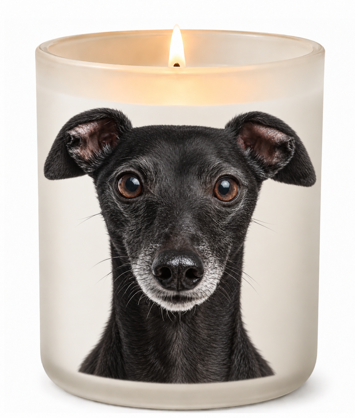 Italian Greyhound – Black on a lit white 10oz glass candle