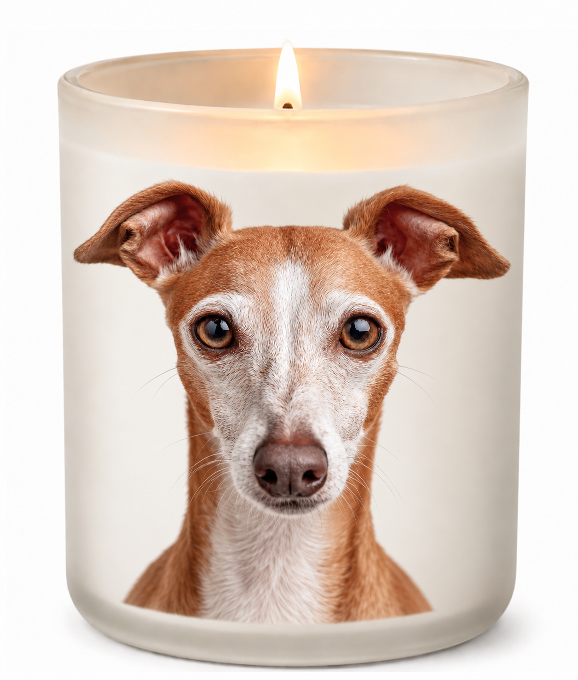 Italian Greyhound – Red & White on a lit white 10oz glass candle