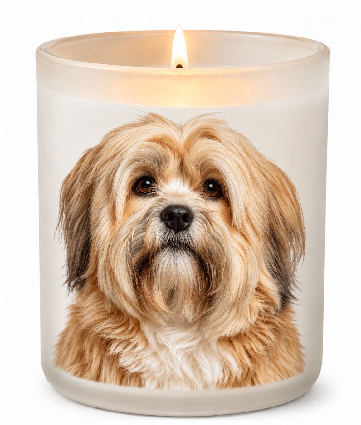 Lhasa Apso – Golden on a lit white 10oz glass candle