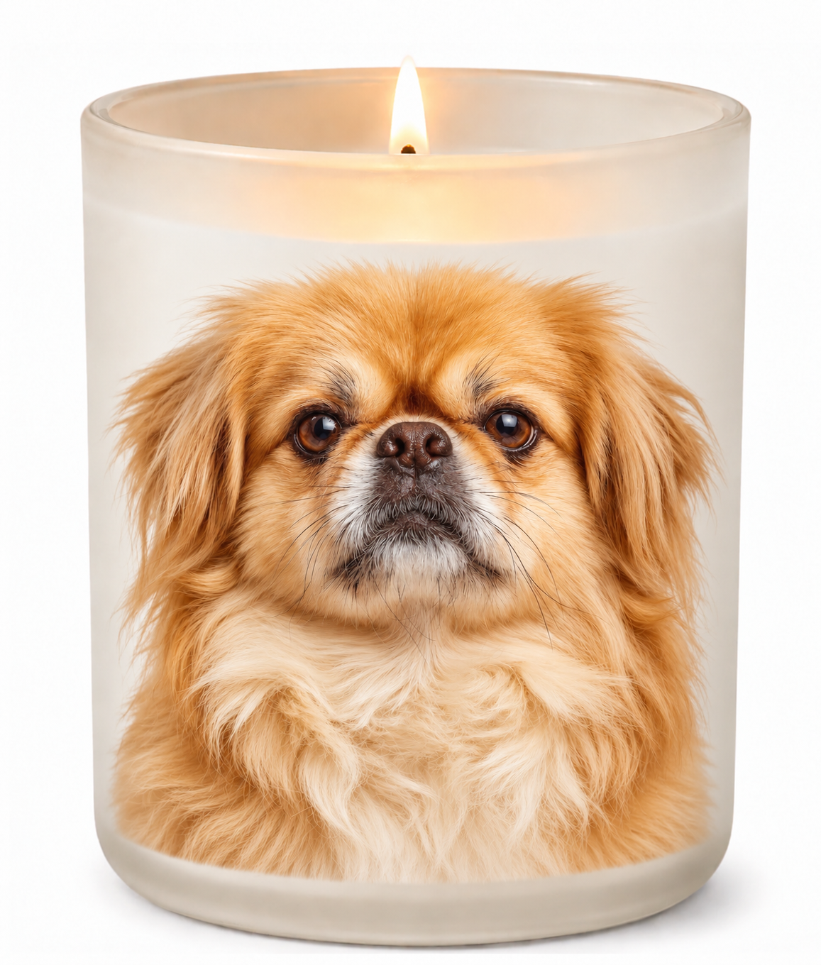Pekingese – Gold & Red on a lit white 10oz glass candle