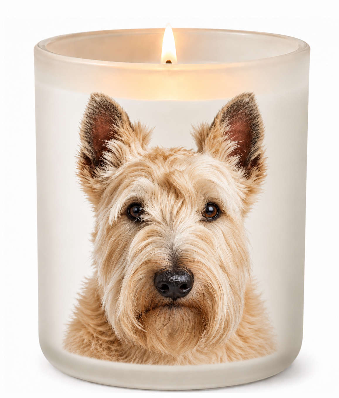 Scottish Terrier – Wheaten on a lit white 10oz glass candle