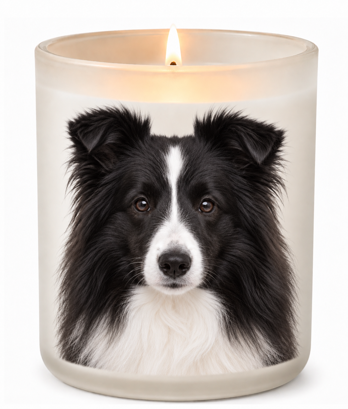 Sheltie – Black & White on a lit white 10oz glass candle