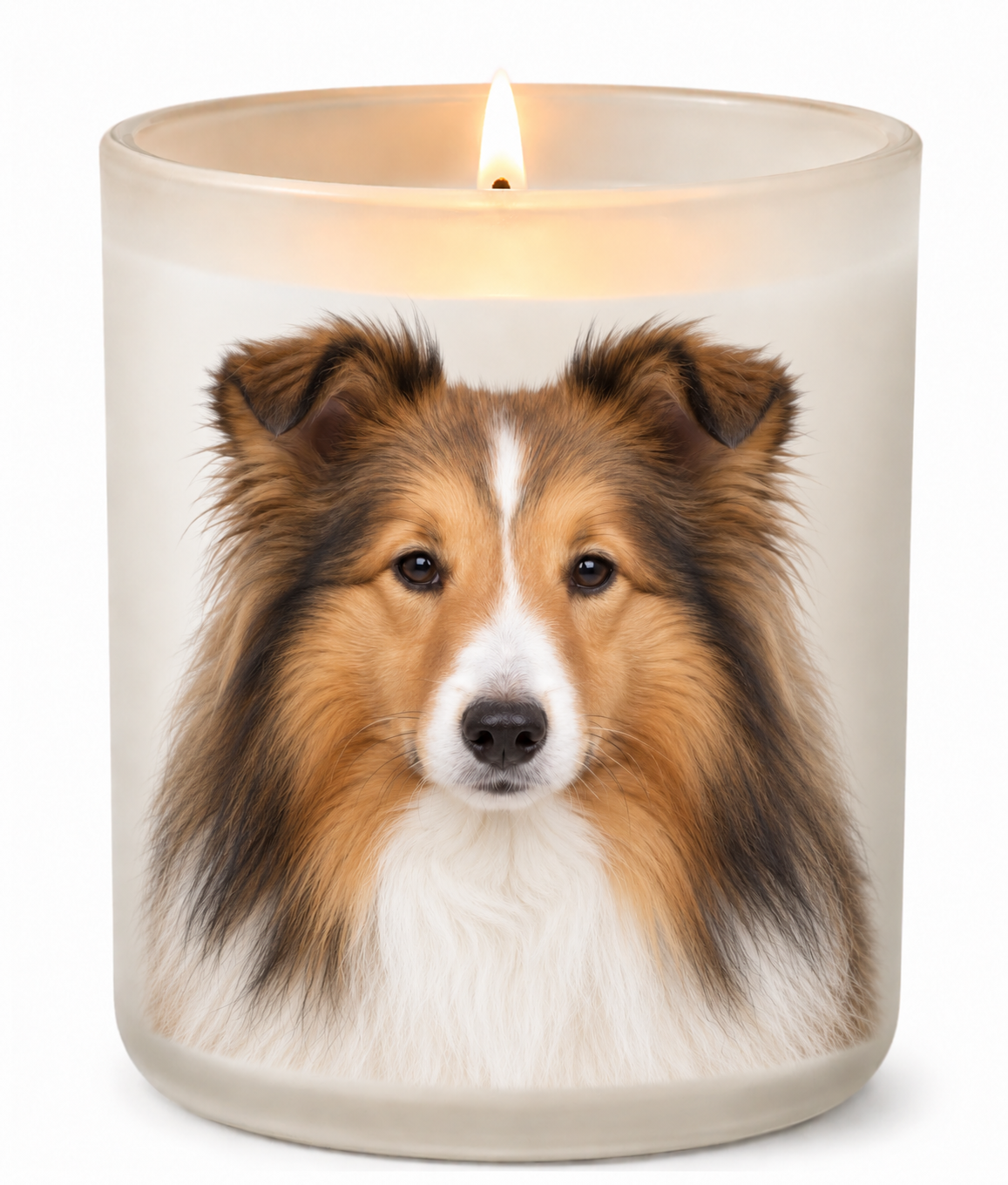 Sheltie – Sable & White on a lit white 10oz glass candle