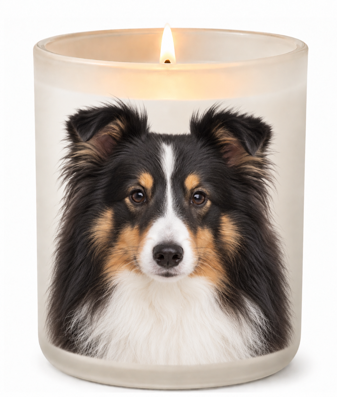 Sheltie – Tri-colour on a lit white 10oz glass candle