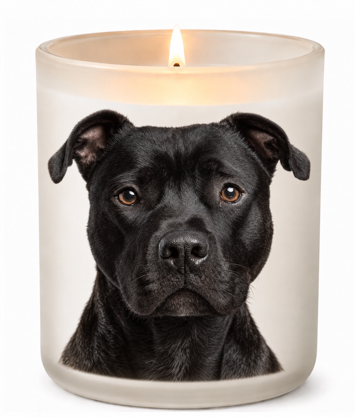 Staffy – Black on a lit white 10oz glass candle
